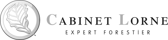 Cabinet Lorne - Logo - Noir et Blanc