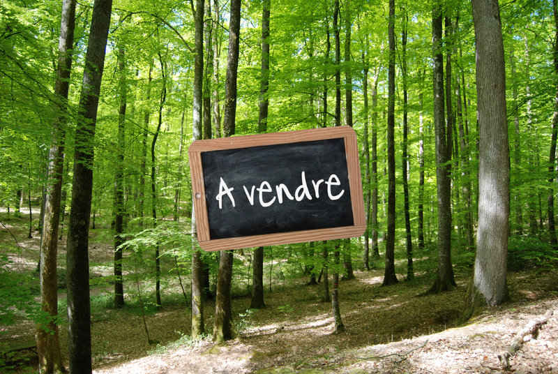 foret-a-vendre